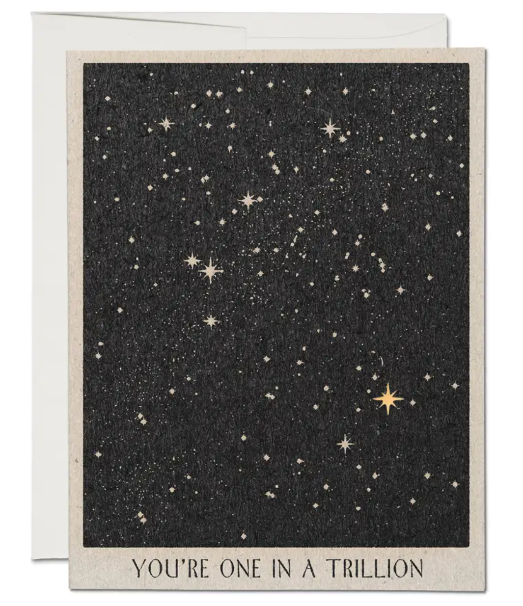 One in A Trillion Card