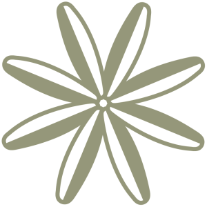 2 Hour Initial Consultation for Functional Nutrition and Wellness